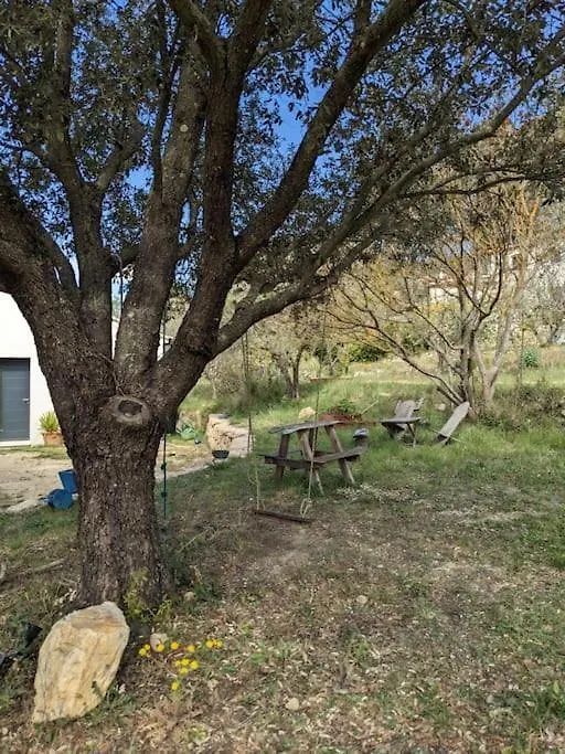 Maison Moderne Avec Jardin Et Jacuzzi La Bouilladisse Holiday home