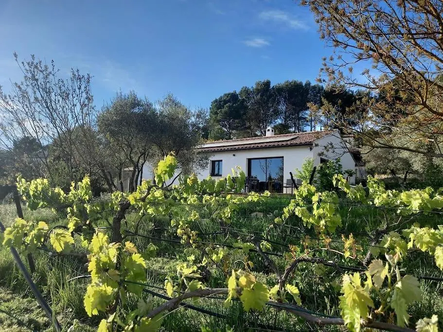 Maison Moderne Avec Jardin Et Jacuzzi La Bouilladisse Holiday home