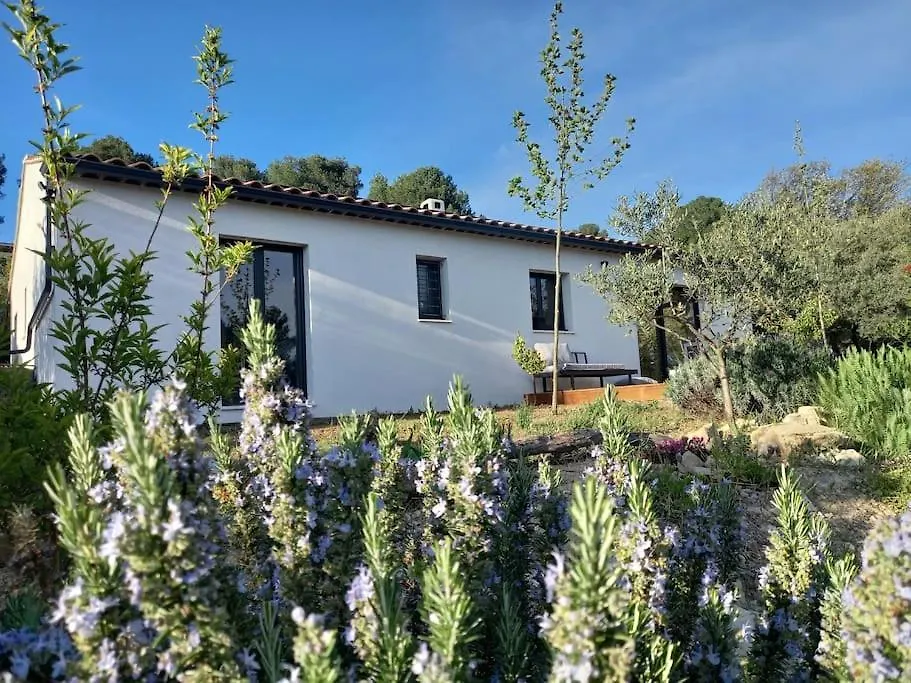 Maison Moderne Avec Jardin Et Jacuzzi contacts